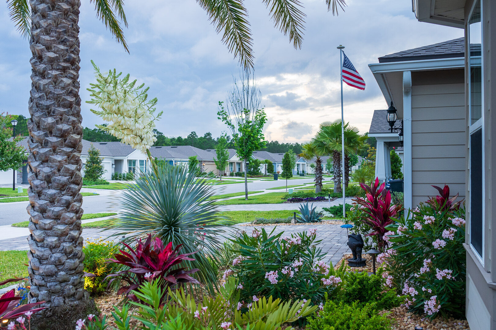 nice planting bed with palm tree and perennials