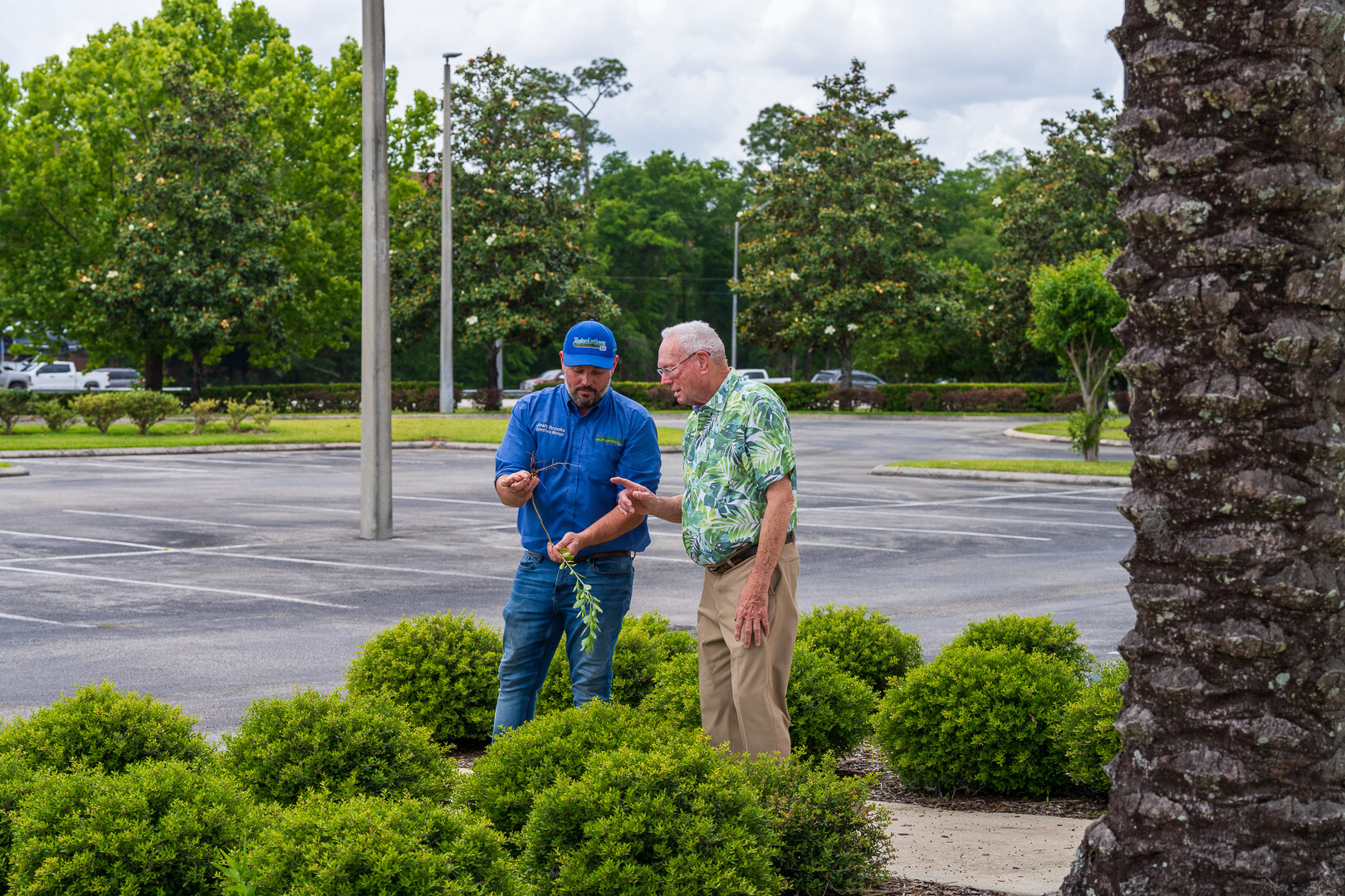 commercial maintenance account manager and customer walkthrough inspecting shrubs in planting bed