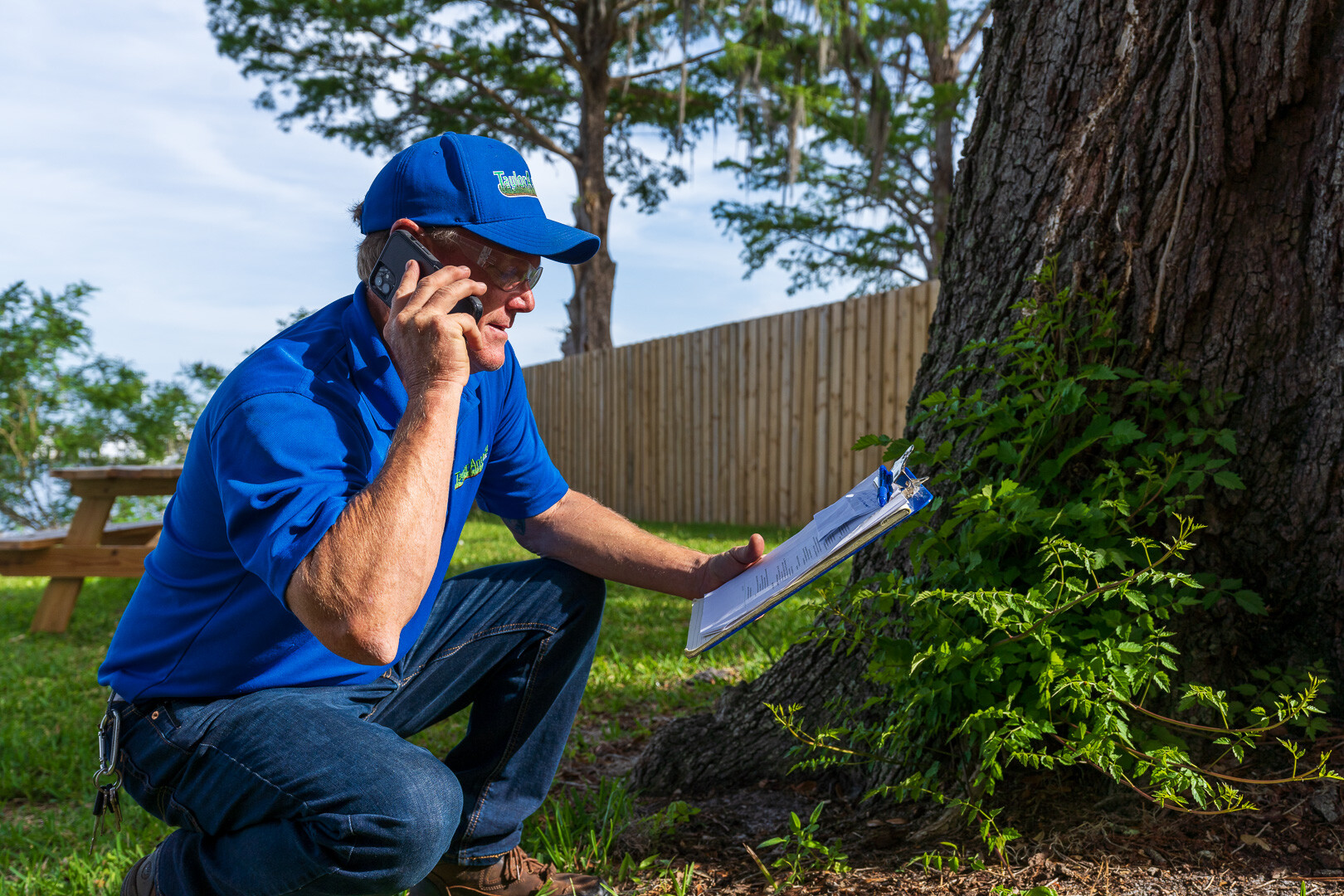 commercial maintenance account manager inspecting large shade trees waterfront 4