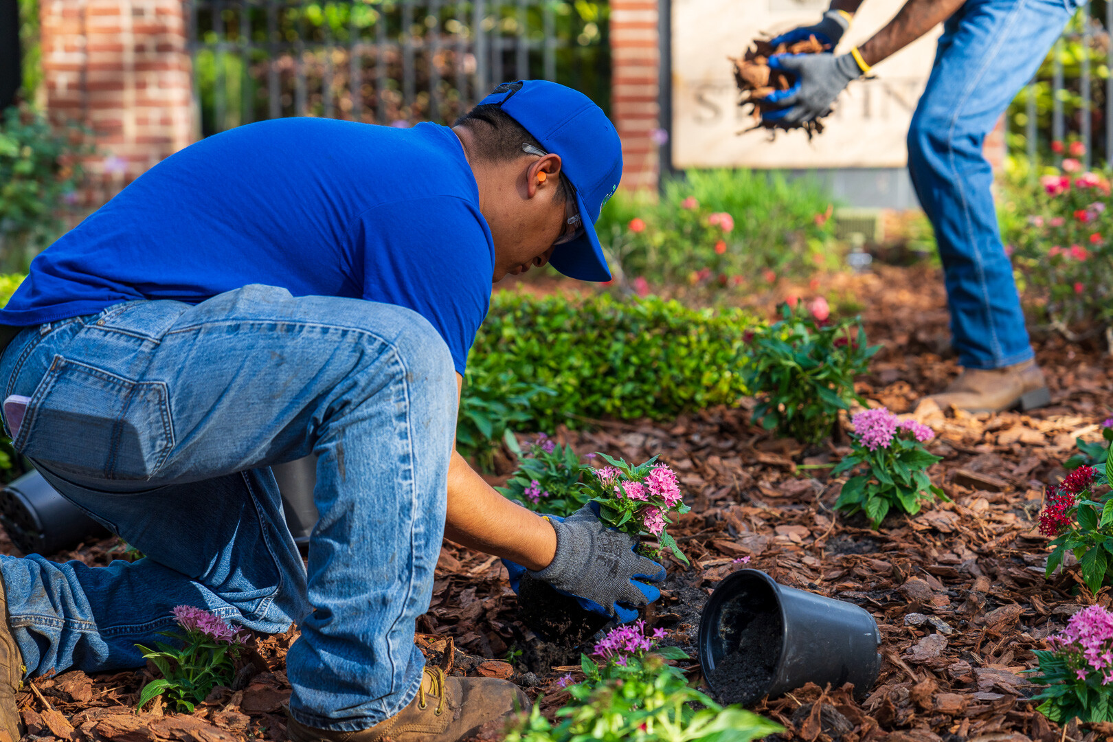 commercial maintenance technician plant installation 2