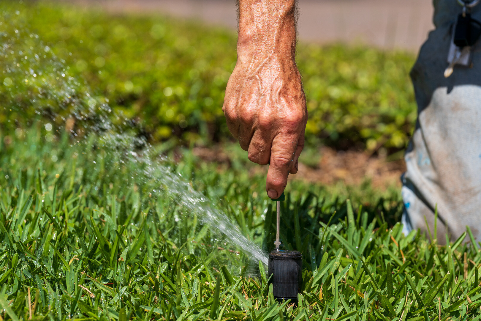 irrigation technician calibrating a sprinkler head 3