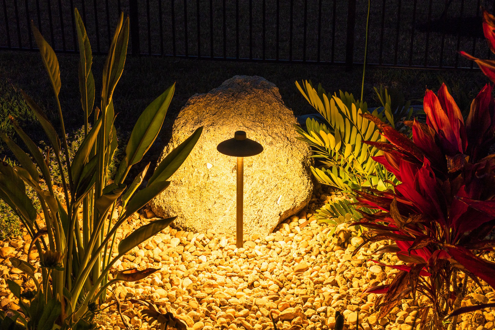 landscaping lighting against boulder with palm tree in planting bed 5