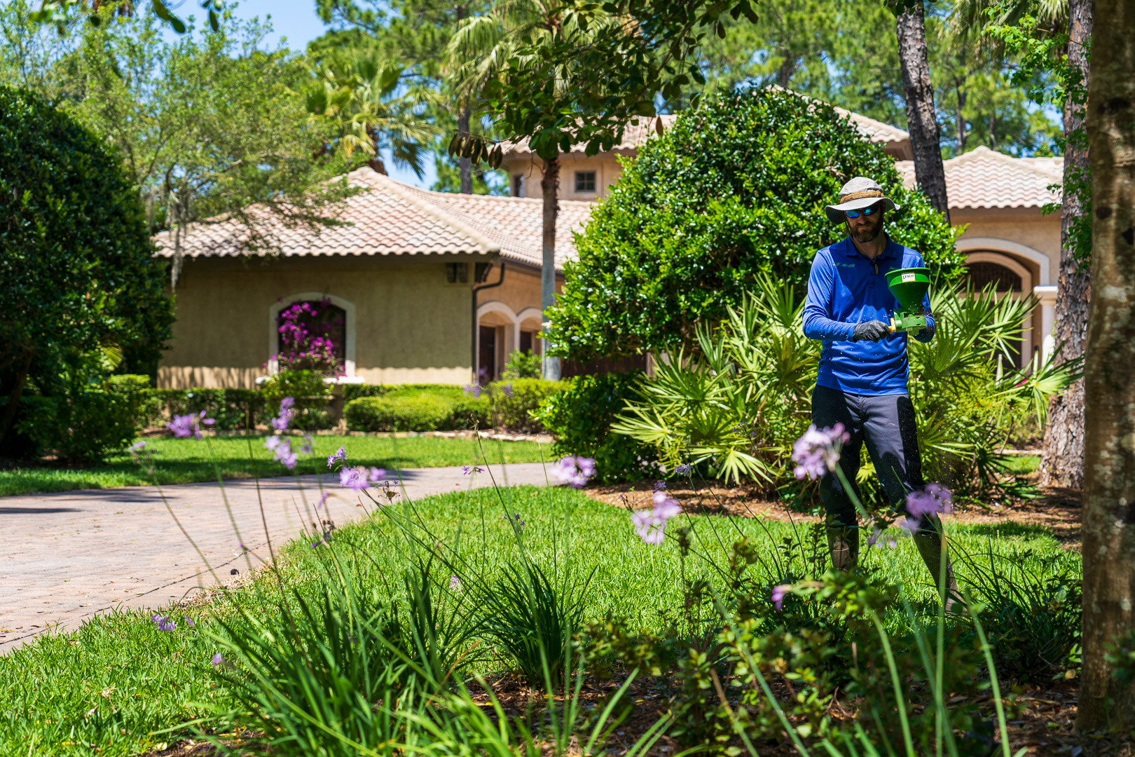 plant health care technician fertilizing shrubs in planting bed 2