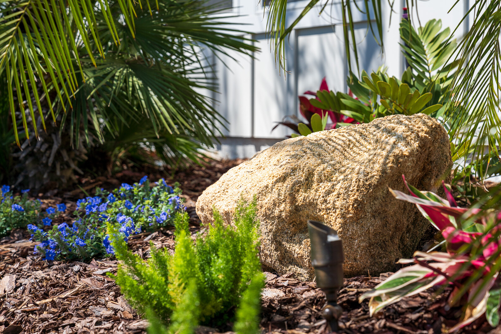 planting bed with bottle palm trees and perennials 4