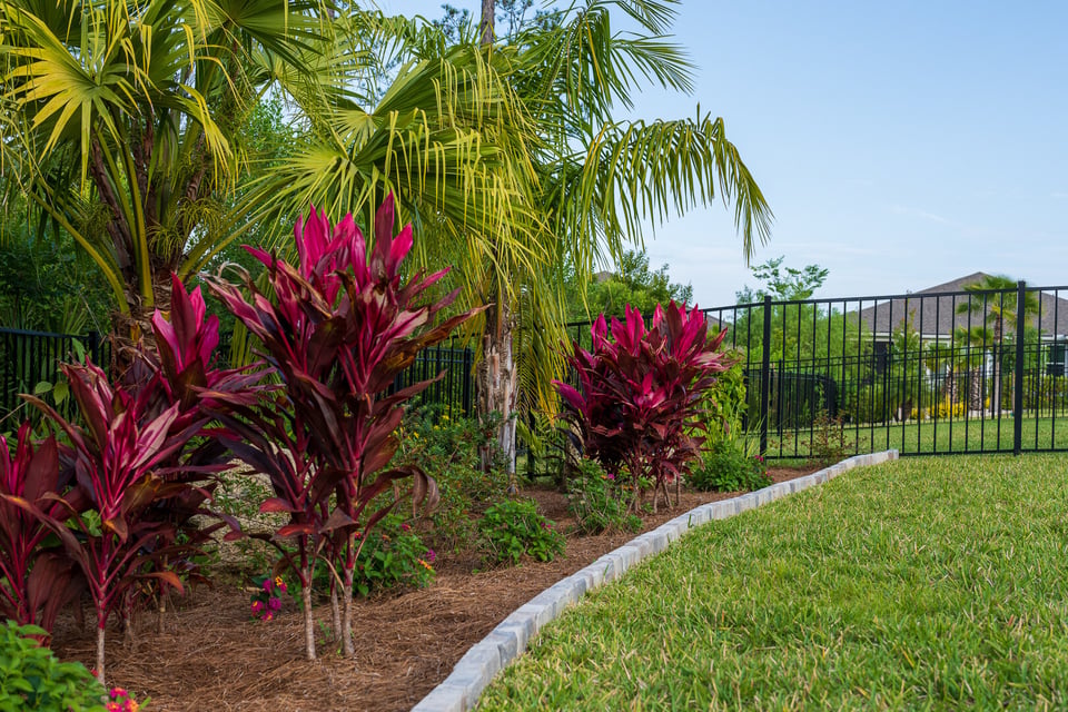 residential maintenance backyard with turf planting beds and trees 4