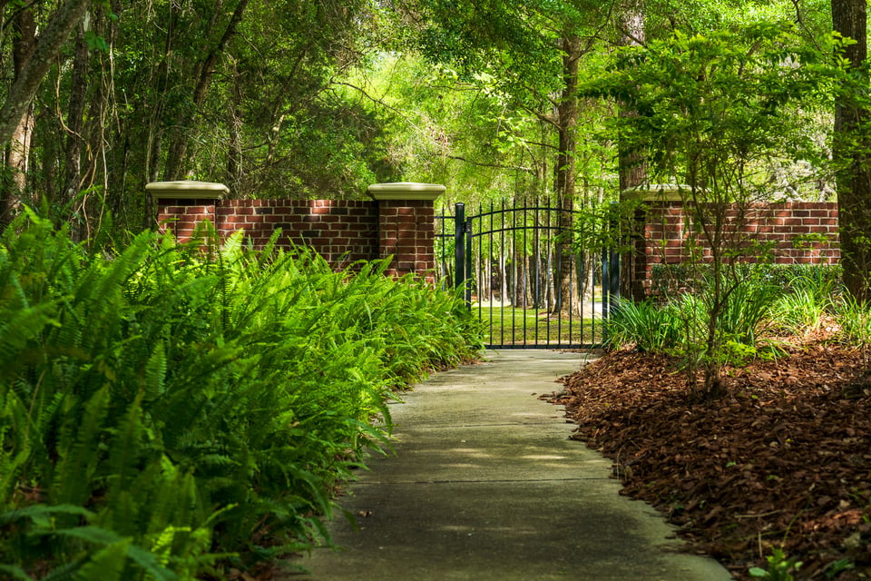 walkway with planting beds and shade trees