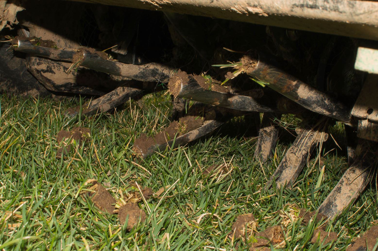 Aeration Close-up