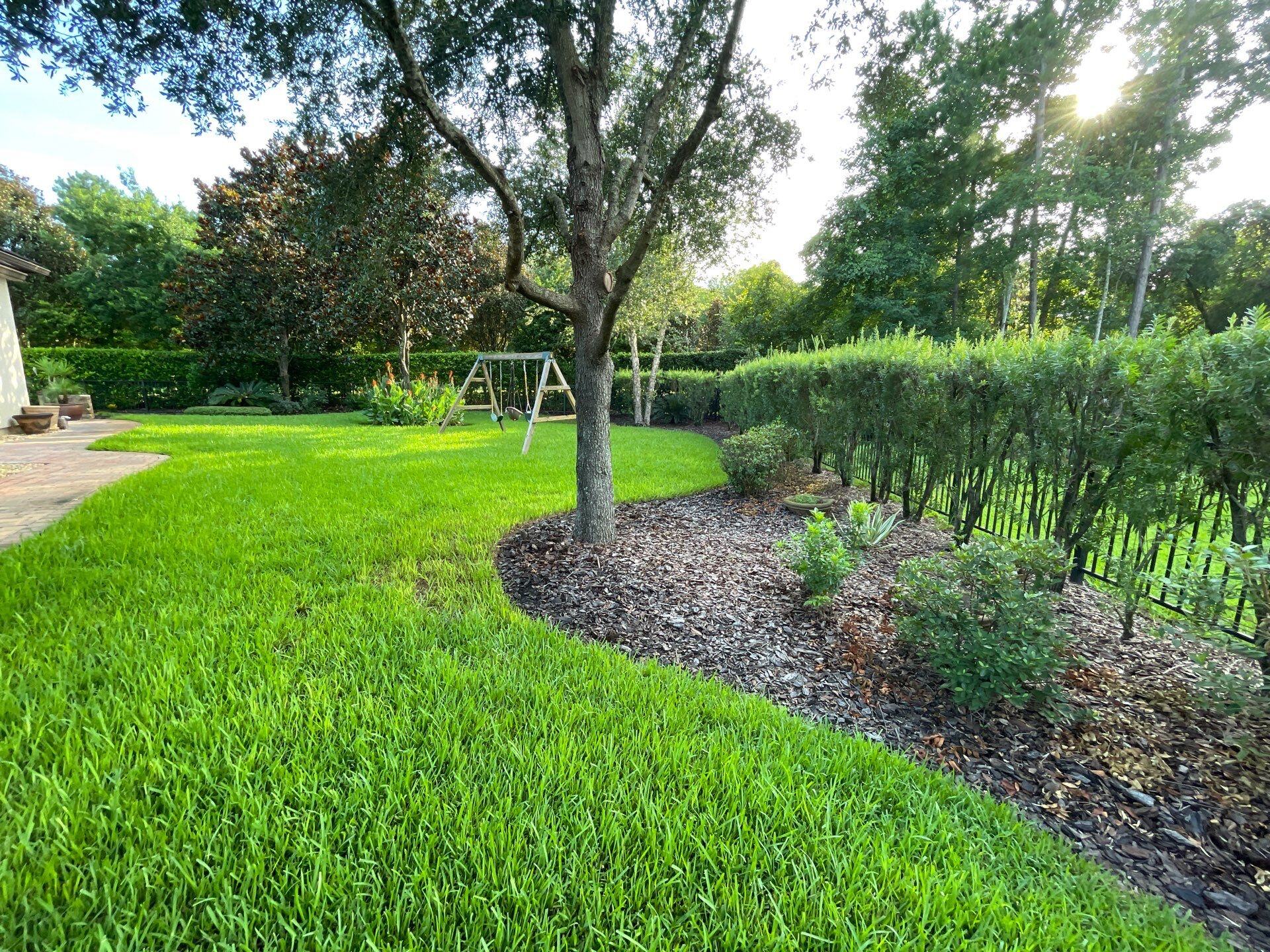 Green Lawn at Residential Property