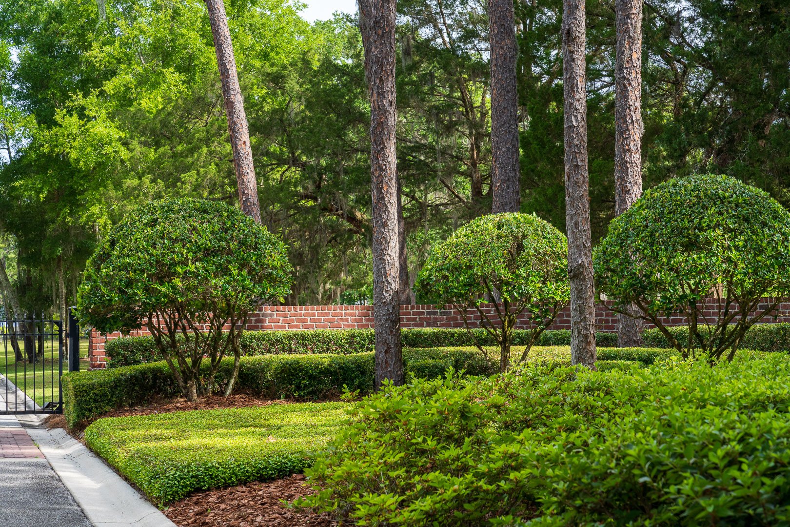 planting beds and large palm trees at a commercial florida property