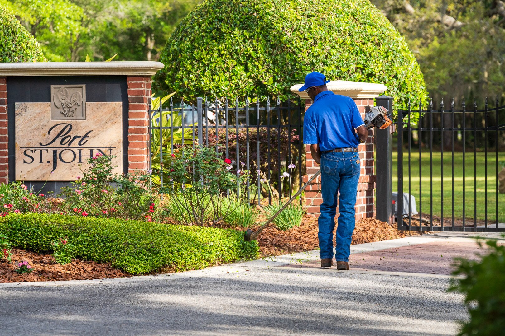 commercial maintenance technician string trimmer on shrub hedge 6