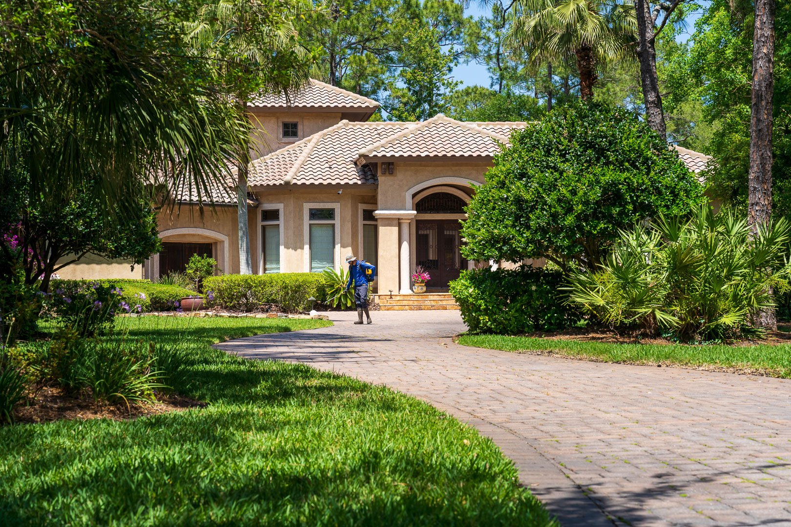 nice house paver driveway with large shade trees and planting beds 2