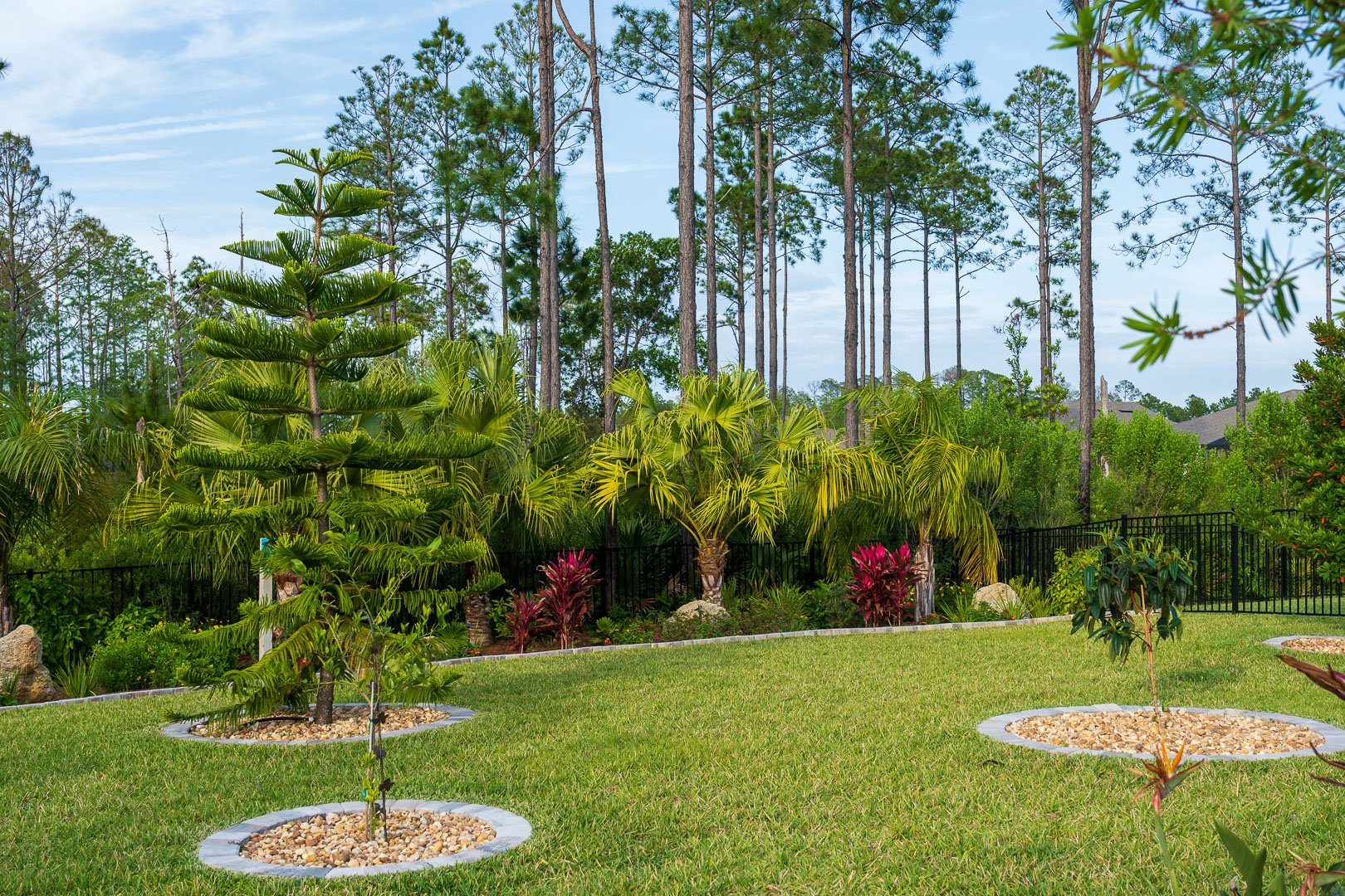 residential maintenance backyard with turf planting beds and trees