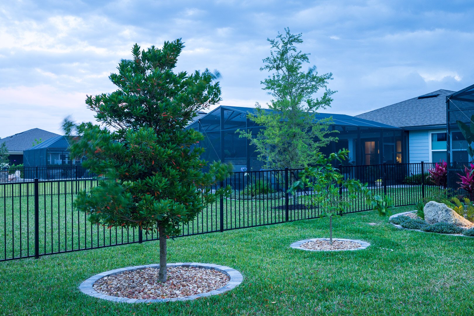 residential lawn with green grass