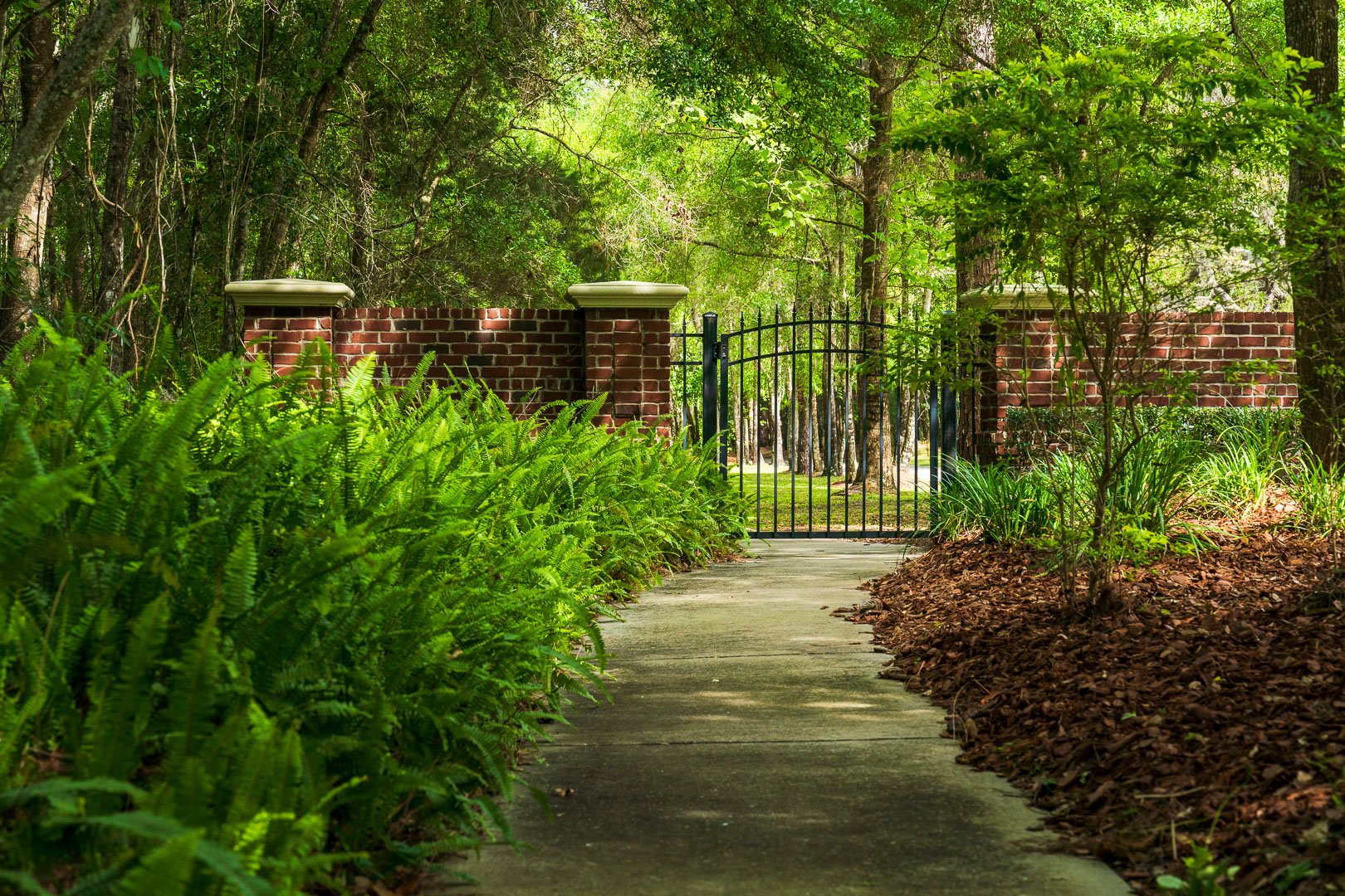 walkway with planting beds and shade trees