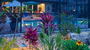 Irrigation, lighting and landscape enhancements Ponte Vedra, Ponte Vedra Beach, St. Johns and St. Augustine, FL