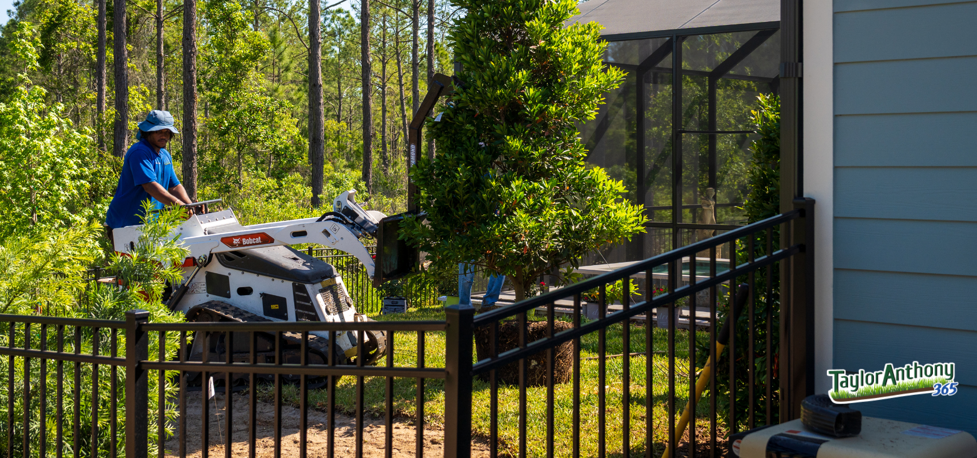 Shrub Treatment Services in St. Johns