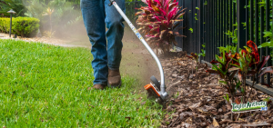 Lawn Care Services in Ponte Vedra Beach
