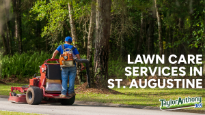 Lawn Care Services in St. Augustine