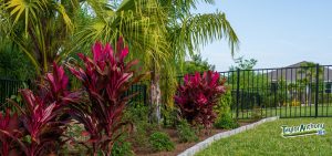 St. Augustine Landscaping