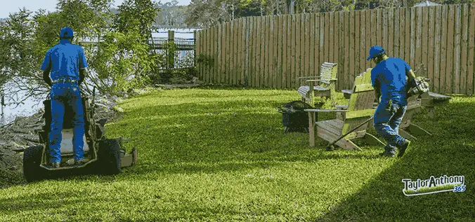 Lawn Care Services in Ponte Vedra