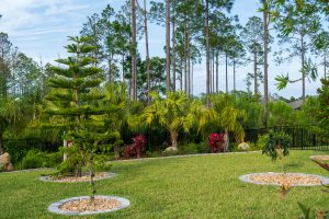 landscape design styles