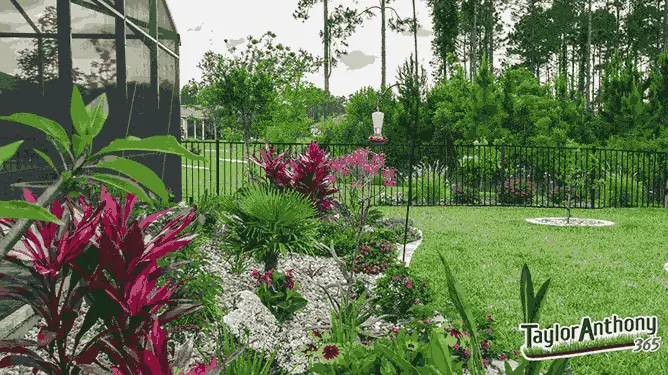 Professional landscaping services