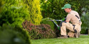 how long does landscaping take