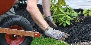 types of mulch for landscaping