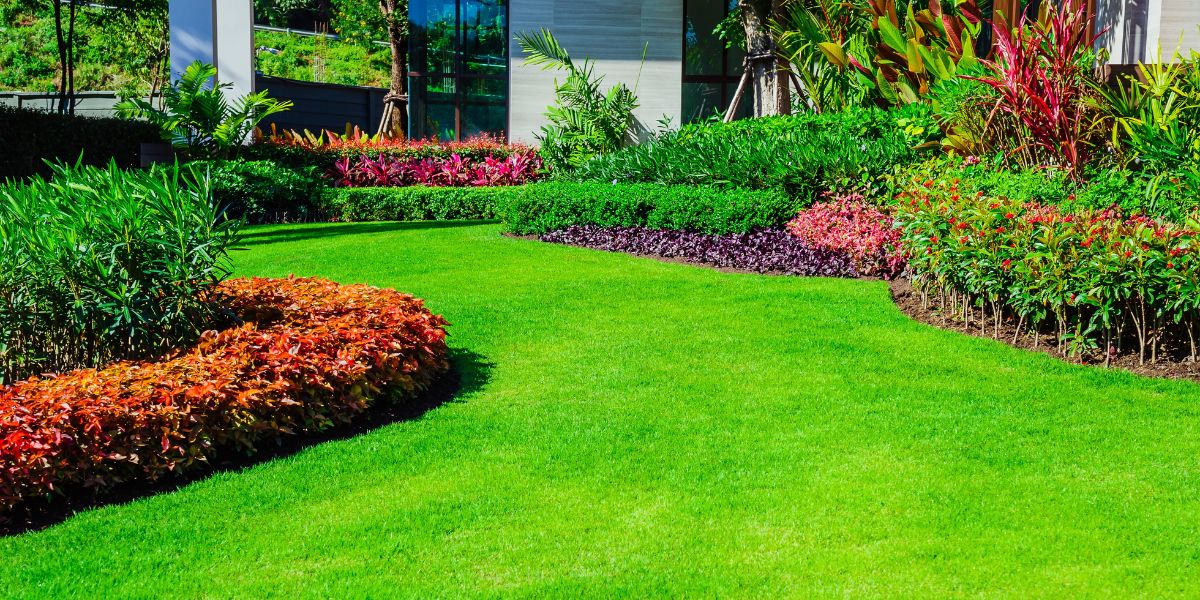 Variety of healthy grass types displayed in a landscaped yard, showcasing different turf options for residential lawns | Different Types of Grass for Landscaping