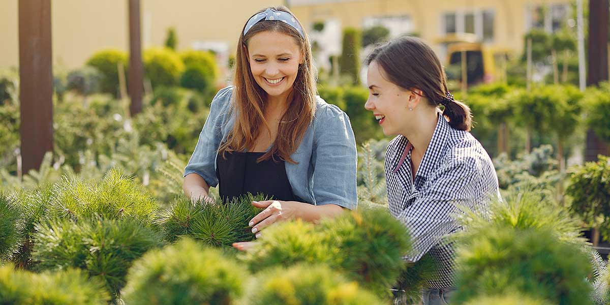 Two women look at plants at a garden nursery, illustrating important questions to ask before hiring a professional landscaping company.