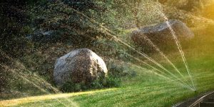 Automated lawn sprinkler spraying water over a green coastal landscape featuring large natural rocks during sunlight.