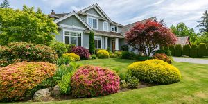 Suburban two-story house featuring a manicured lawn surrounded by colorful flowering bushes, vibrant shrubs, and Japanese maple trees.