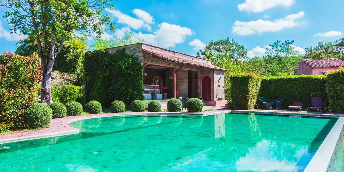 Lush tropical pool landscaping in Ponte Vedra Beach featuring trimmed hedges, manicured shrubs, and privacy greenery surrounding a backyard pool.